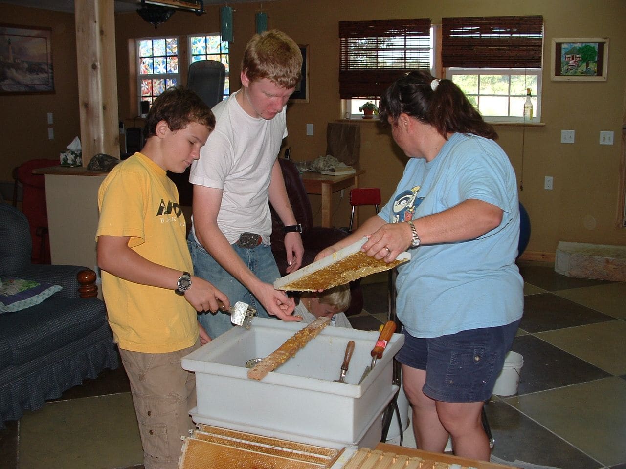 In a kitchen, a teenage beekeeper and two friends lean over a white uncapping tank while a woman holds a frame of honeycomb above it.