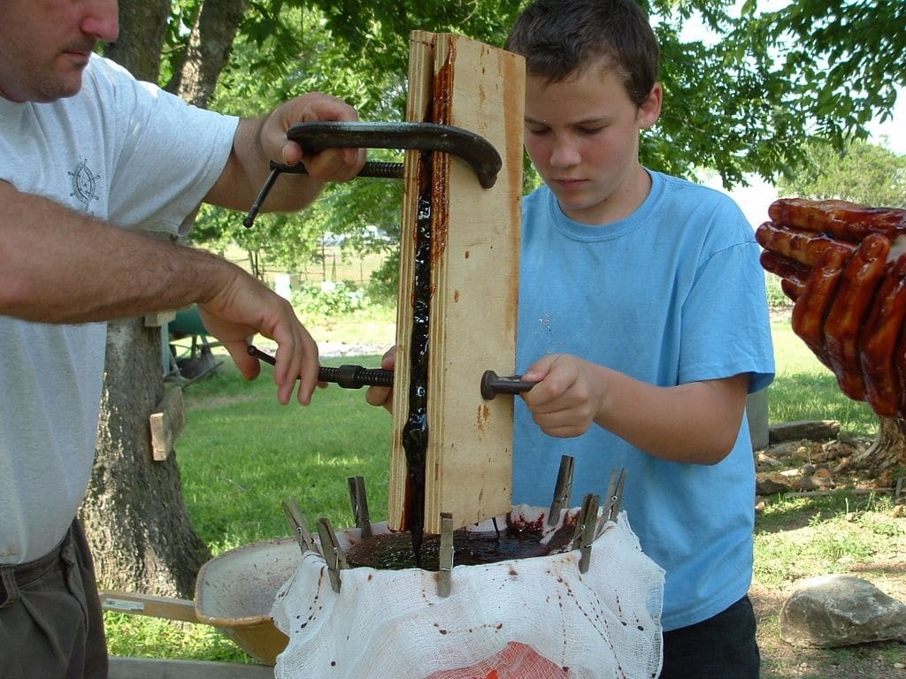 A man and a boy tighten clamps on two boards pressing crushed honeycomb, and dark honey runs down through cheesecloth into a bucket.